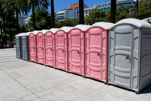 Best Portable Toilets with Baby Changing Stations  in Sonora, TX